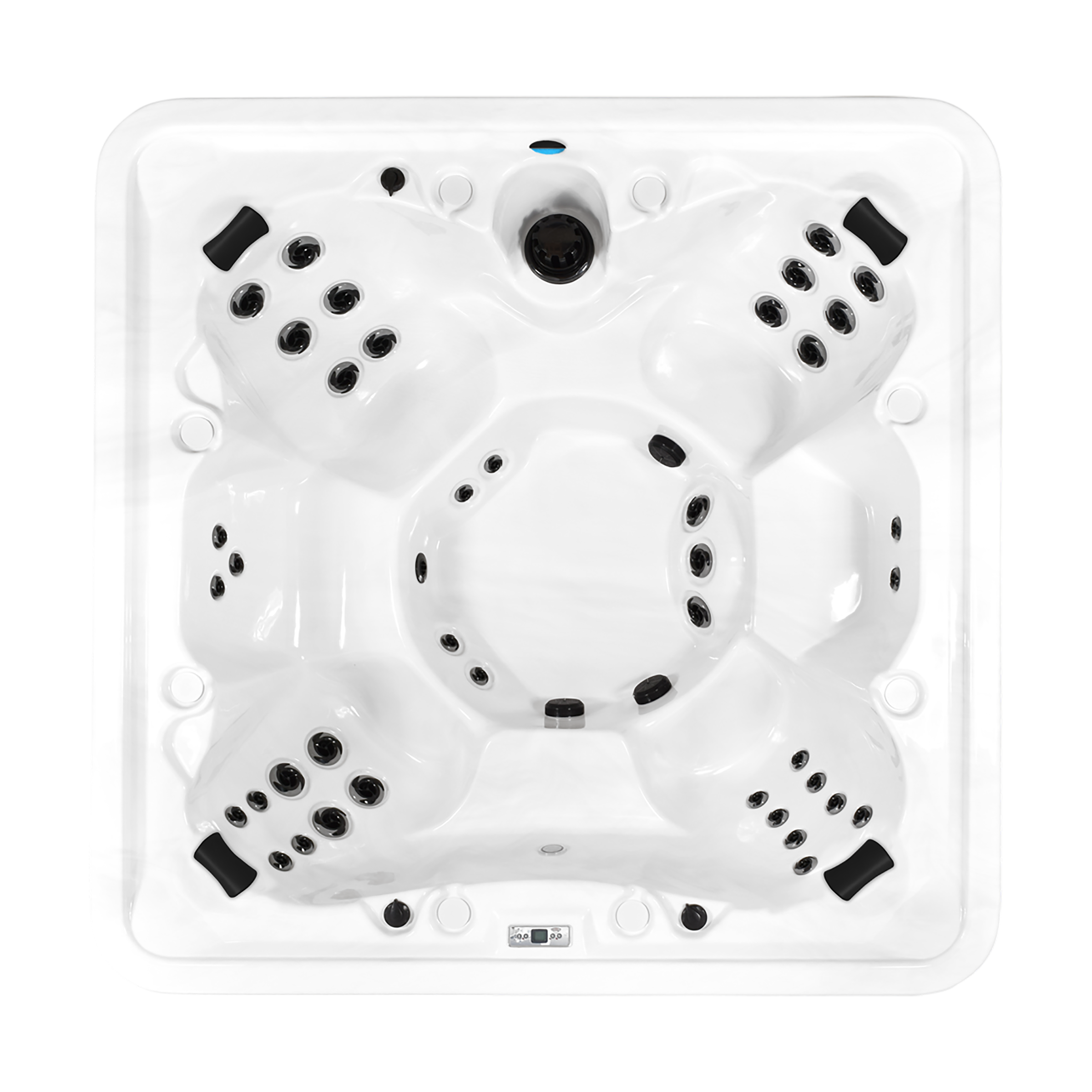 orca top view